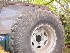 Gil and Sherrie's TJ
